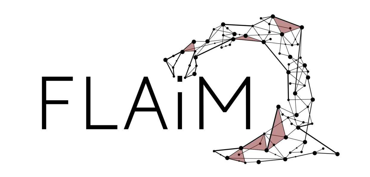 Logo of the FLAIM project with a geometric network arc and red triangle segments.